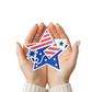 4th of July Star Firework - Magnet
