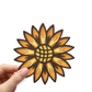 Sunflower - Magnet