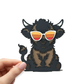 Highland Cow Sunglasses - Magnet
