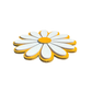 Daisy - Magnet